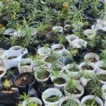 144907803_3825678570823438_479737715159234224_n 144907803_3825678570823438_479737715159234224_n