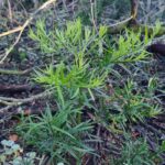 353811282_6493116710746264_8442516293830819528_n