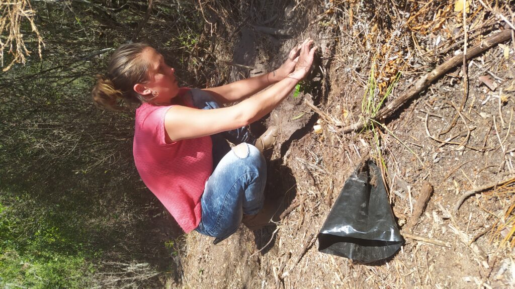 planting indigenous trees with precious tree project garden route